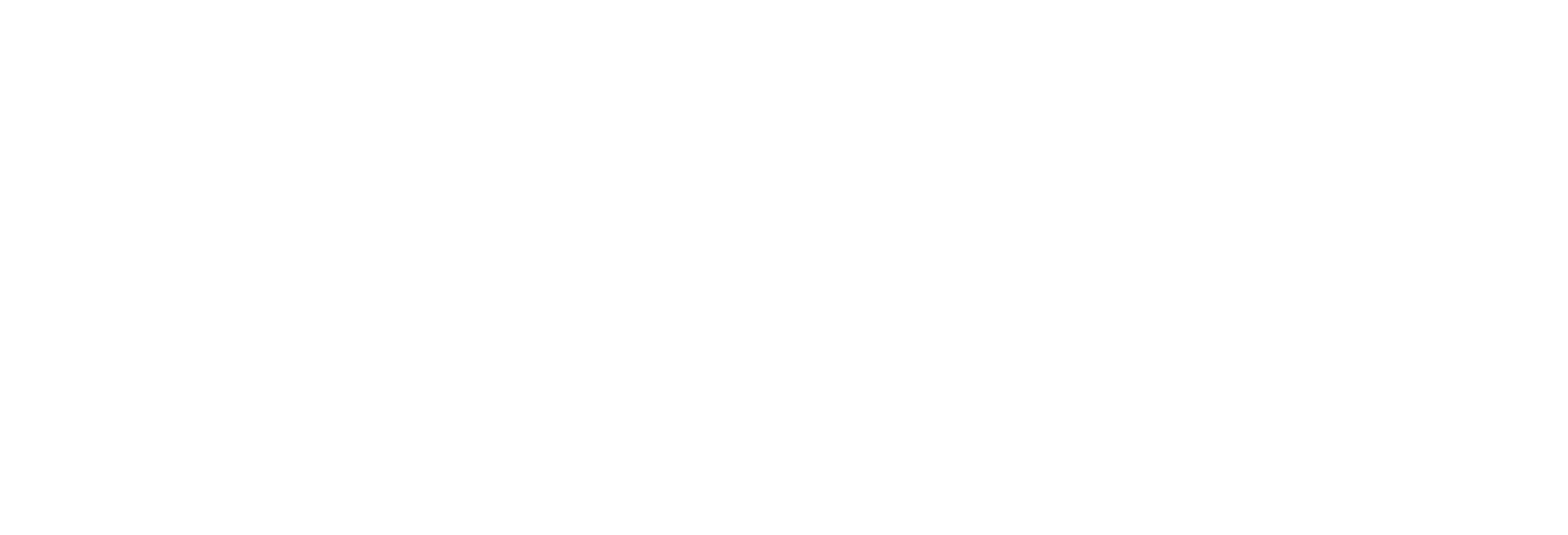 DD - Hotspot Hoster Logo White