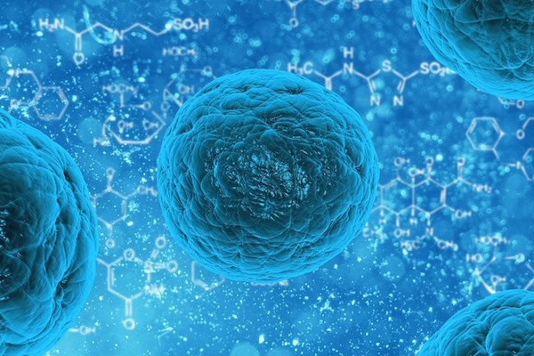 Stem Cell Therapy Patient Acquisition 2