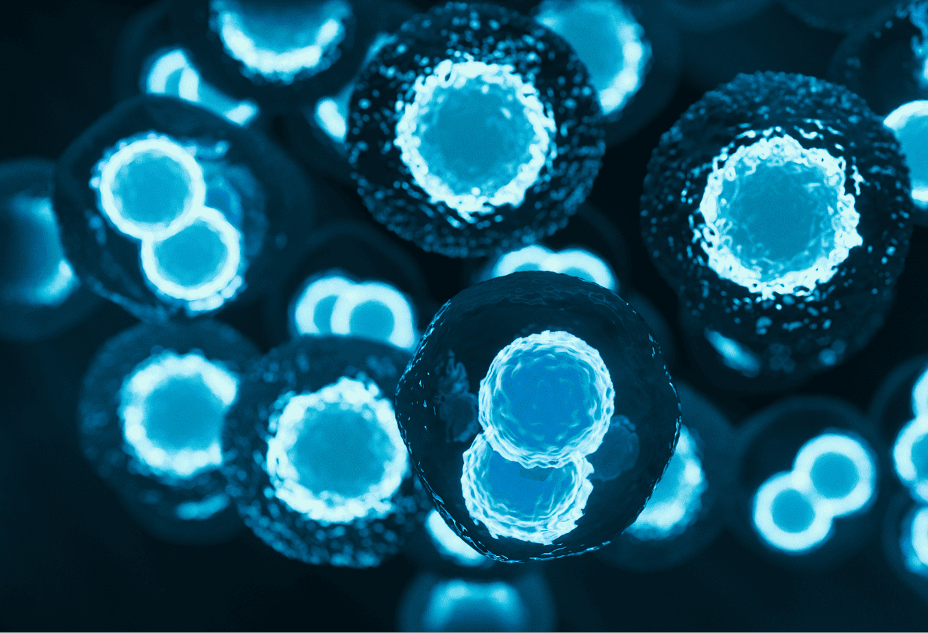 stem cell therapy marketing agency