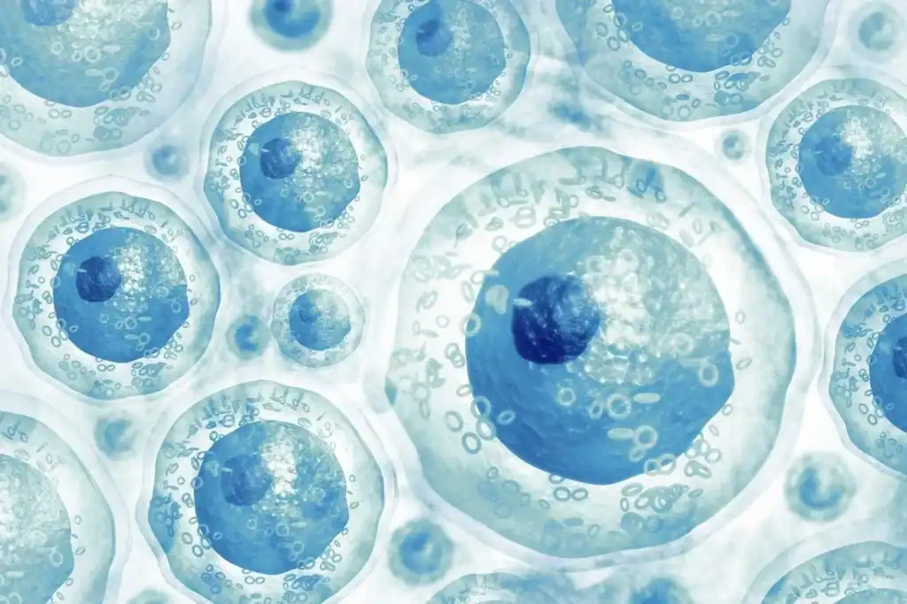 stem cell therapy marketing compliance